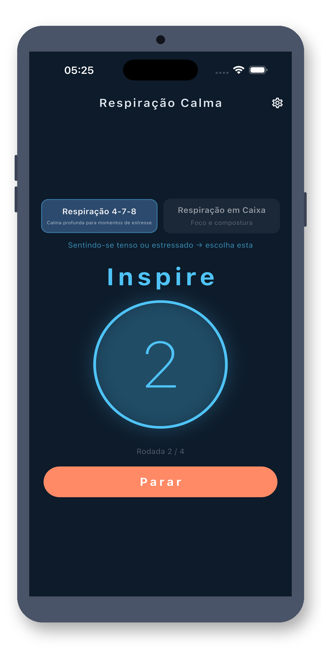 breath_pacer 10_round2_pt screenshot